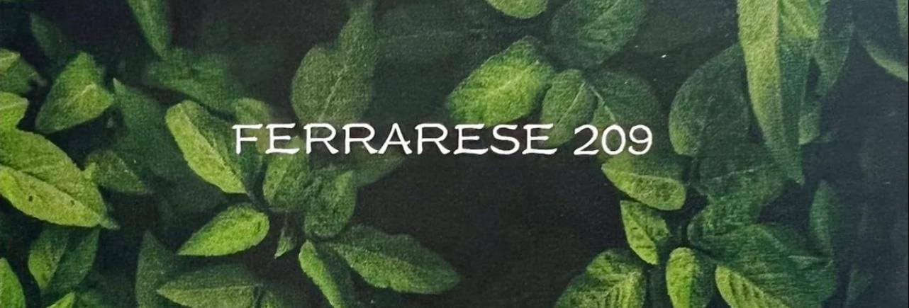 Апартаменты Ferrarese209 Болонья Экстерьер фото